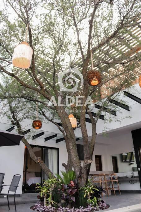 Villa Huizache Alberca Privada+Exclusividad+Lujo San Martín de las Pirámides Exterior photo